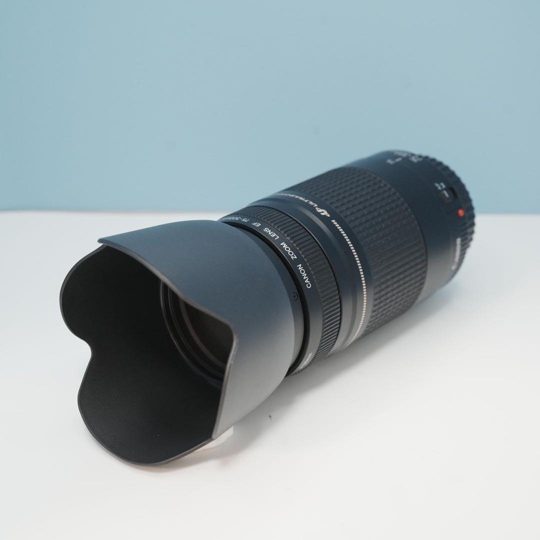Canon純正 75-300mm 望遠レンズ 極美品 a4951