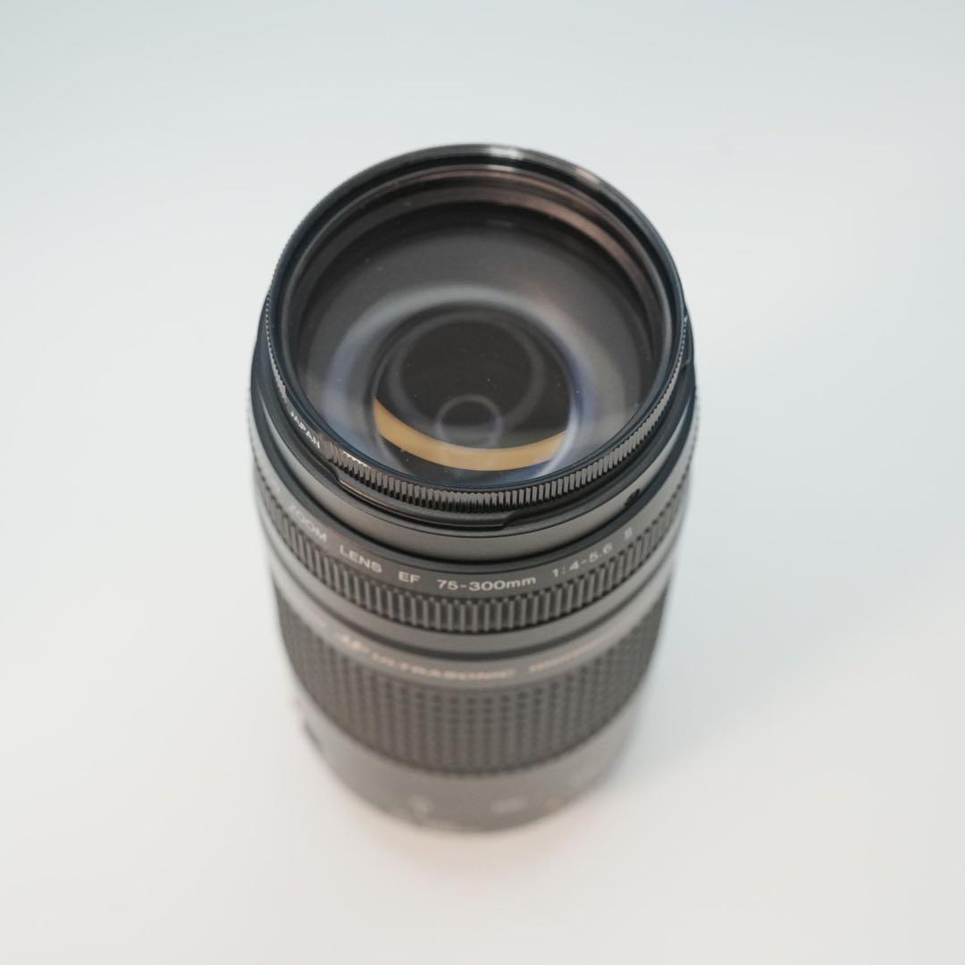 Canon純正 75-300mm 望遠レンズ 極美品 a4951