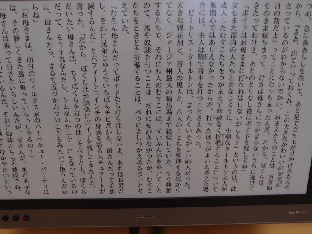 DASUNG Paperlike 253 E-ink モニター　（モノクロ版）