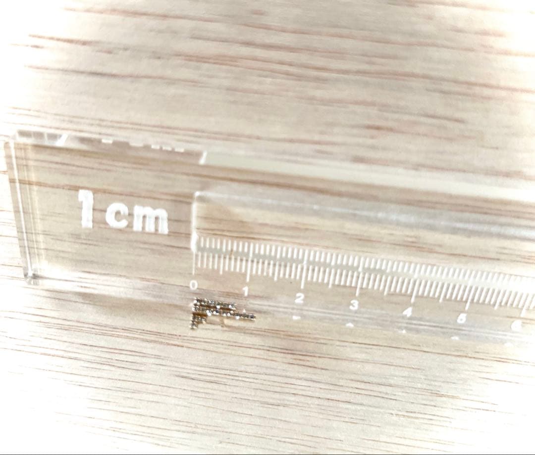 ヒロタカ　ピアスマンハッタン片耳用