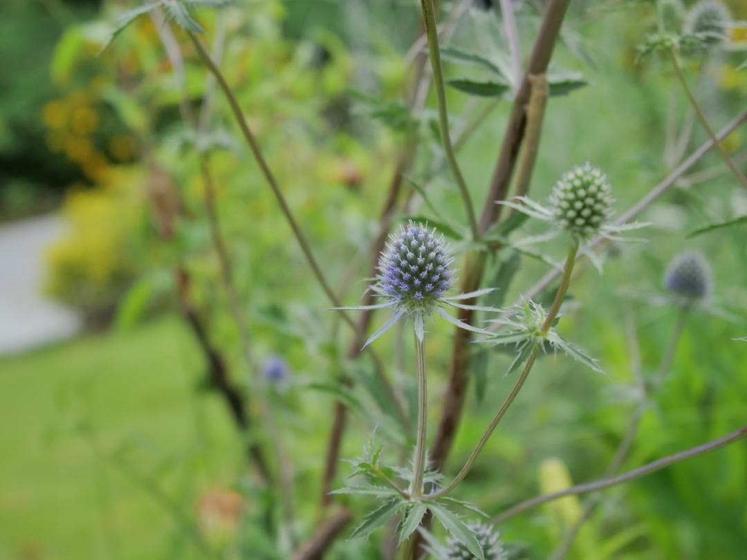 [美品] LUMIX G VARIO 12‑32mm F3.5‑5.6 ASPH