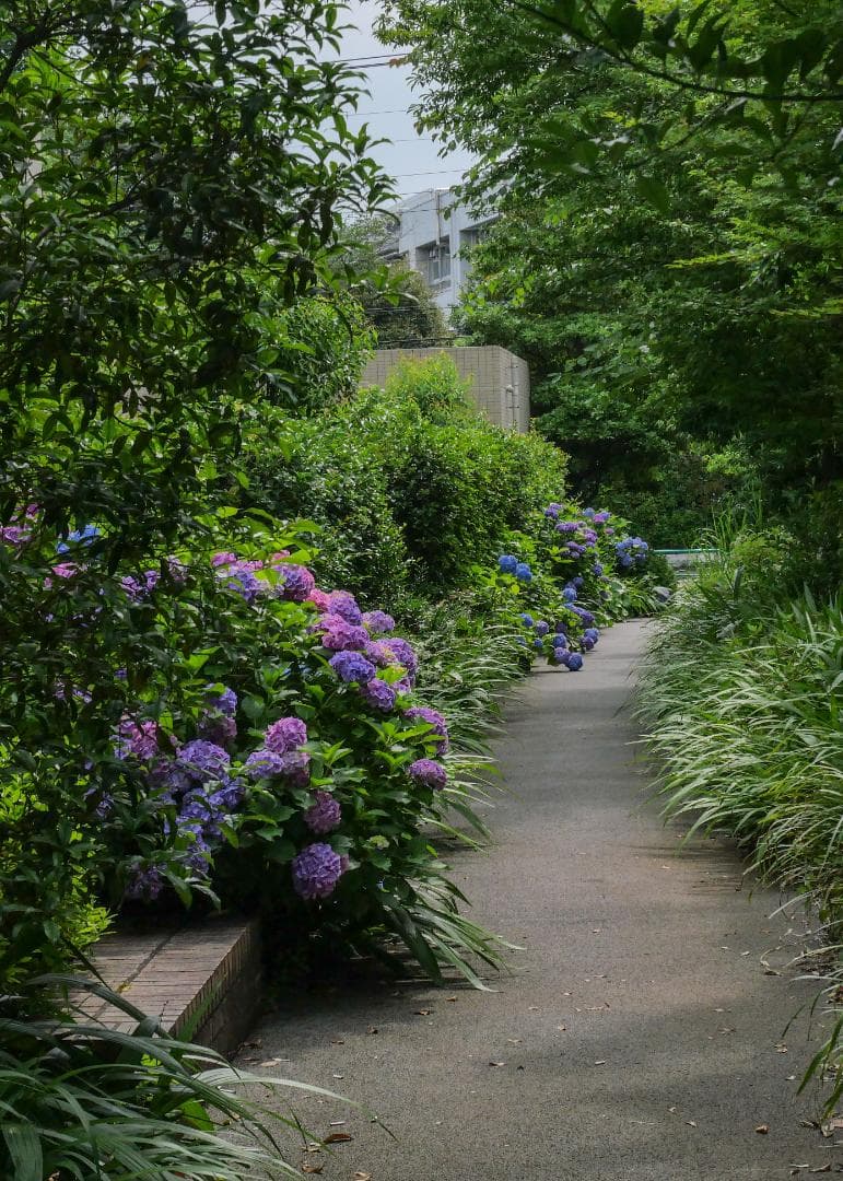 [美品] LUMIX G VARIO 12‑32mm F3.5‑5.6 ASPH