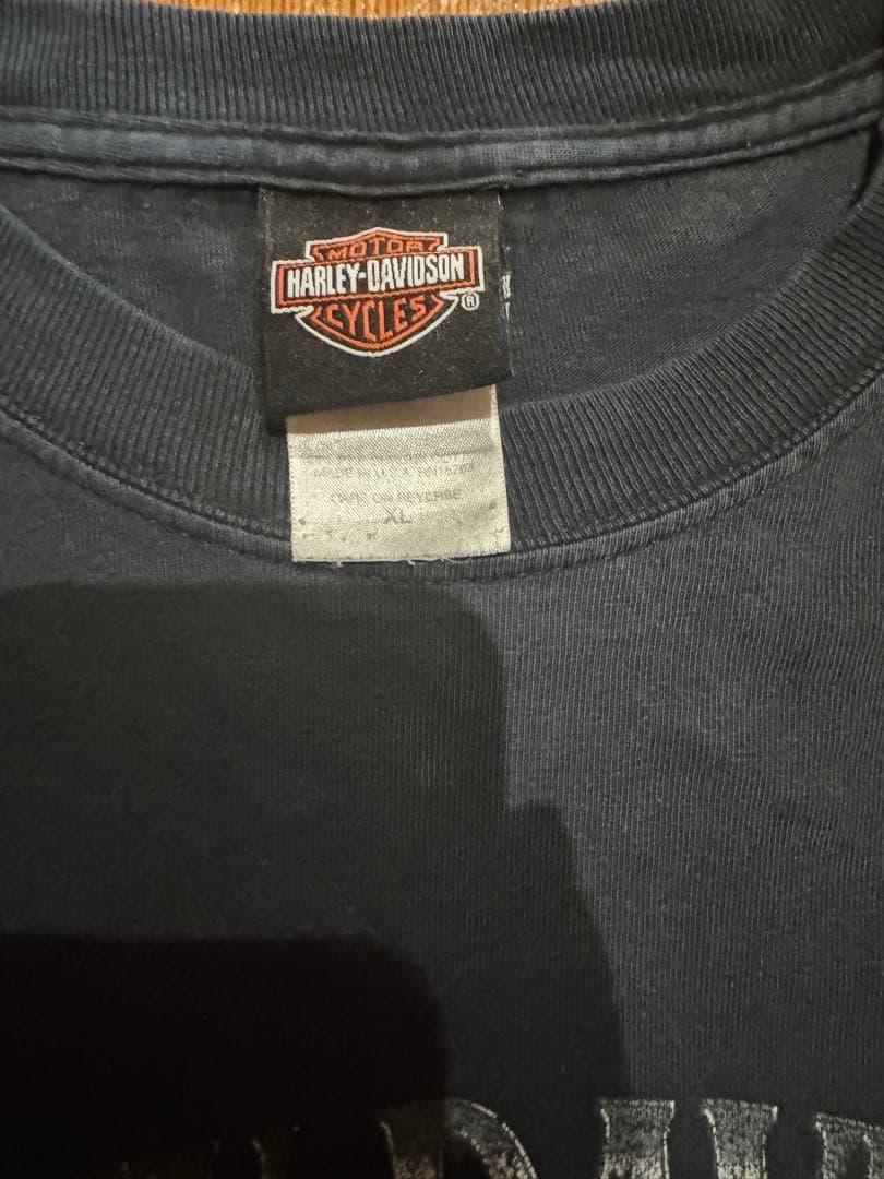 Harley-Davidson ブルーフレイム ヴィンテージロンT