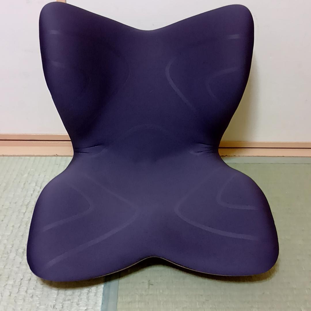 MTG Style PREMIUM スタイルプレミアム　姿勢矯正チェア