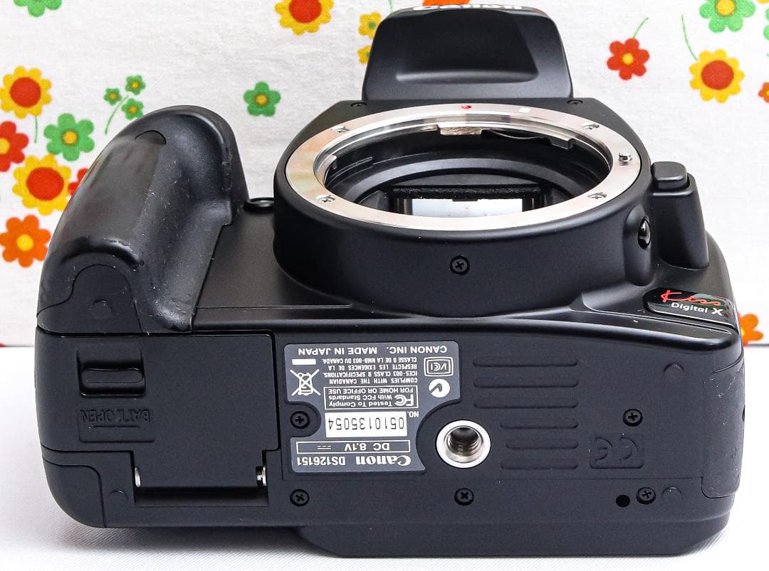 Canon kiss x ☆スマホに転送☆ダブルレンズ！☆初心者おススメ