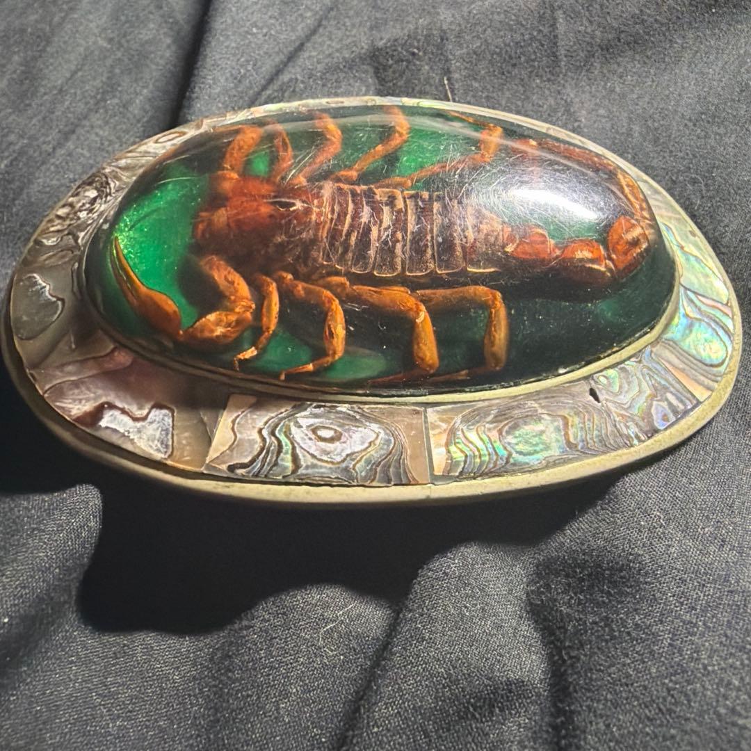 サソリ バックル ベルト ifsixwasnine kmrii v系 お兄系