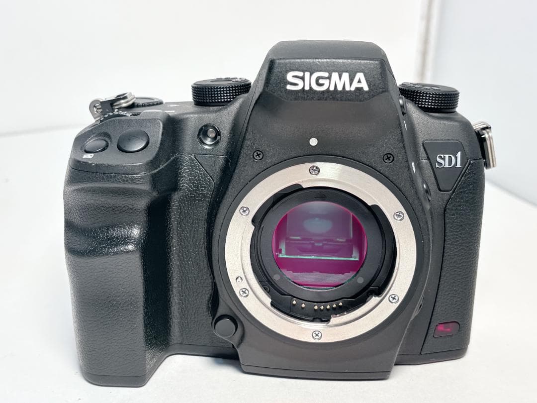 シグマ SD1 Merrill ボディ