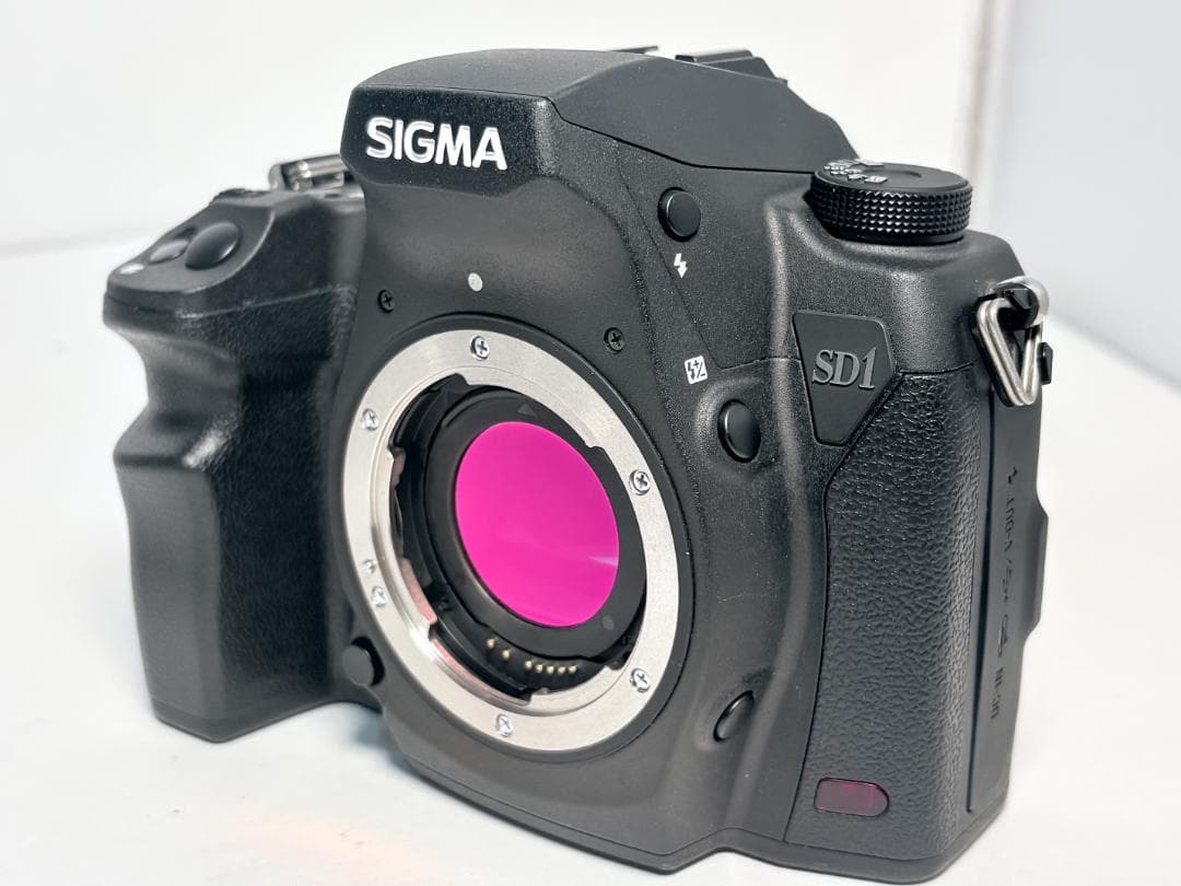 シグマ SD1 Merrill ボディ