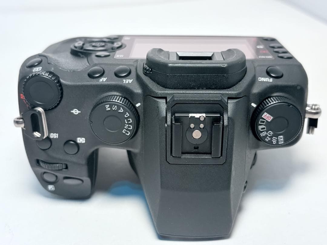 シグマ SD1 Merrill ボディ