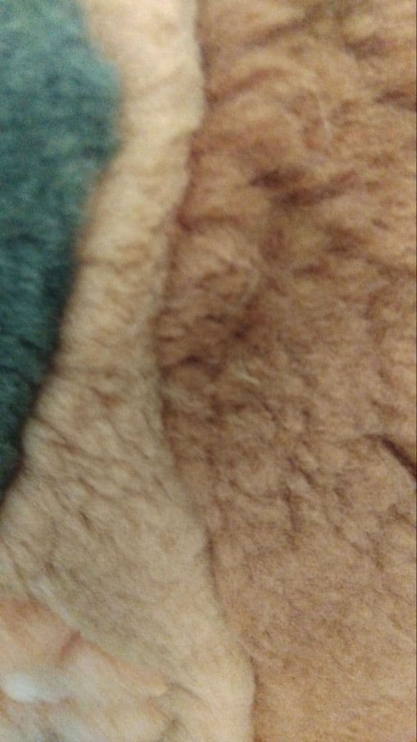 14,500⇒13,050ビンテージ 花柄 ムートン カーペット200×200