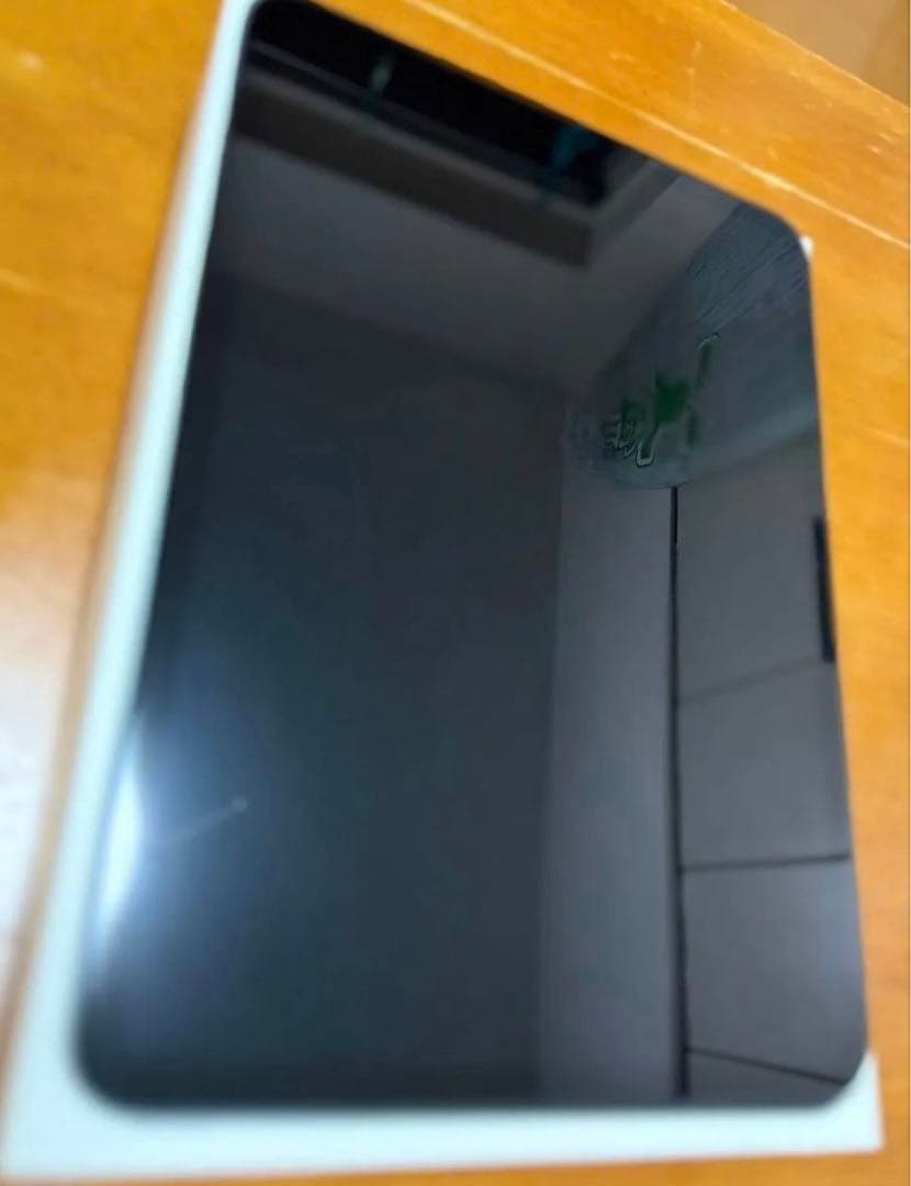 Apple iPad Pro 11インチM42024年Wi-Fiモデル256GB