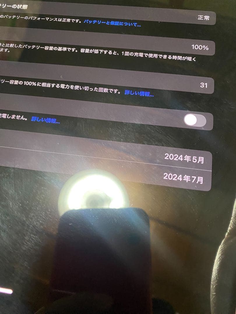 Apple iPad Pro 11インチM42024年Wi-Fiモデル256GB