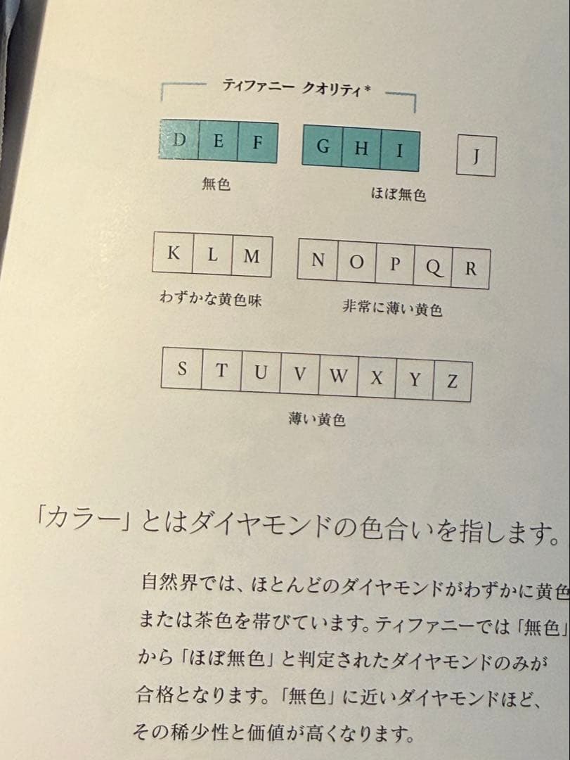 チョコ　2023年購入【鑑定書付き】ティファニー　ソレスト　ピアス