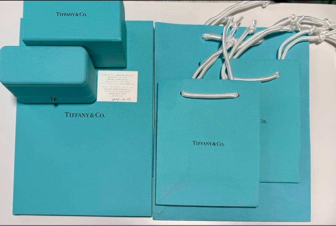 チョコ　2023年購入【鑑定書付き】ティファニー　ソレスト　ピアス