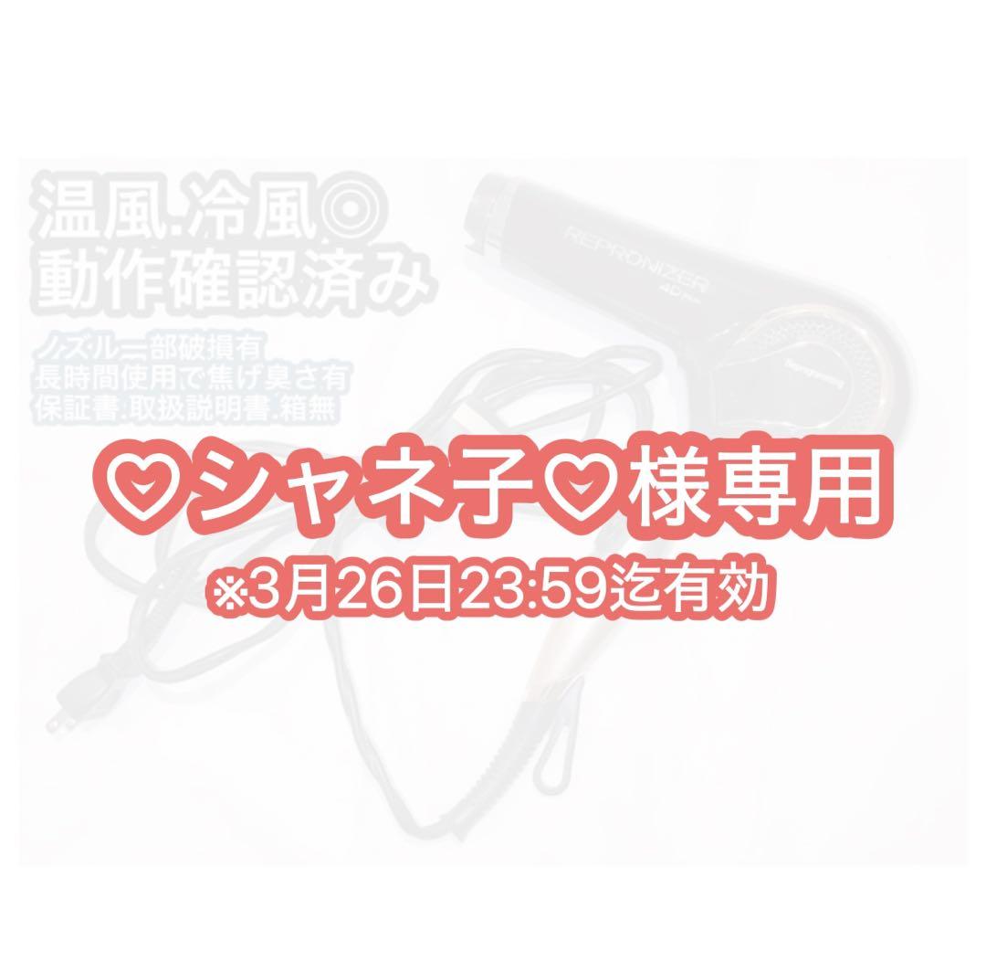 【微ジャンク品】レプロナイザー4DPlus ドライヤー