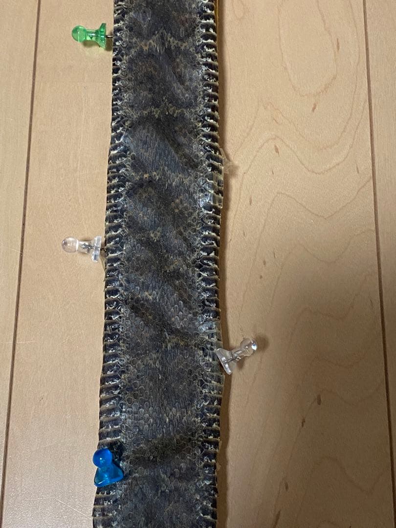 マムシ 皮 革 頭ナシ (観賞用)