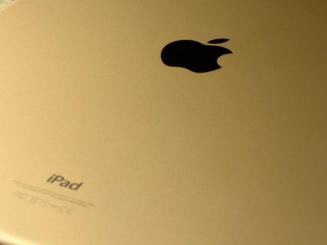 極美品★iPadPro 初代 128GB 12.9 Wi-Fi+Cellular