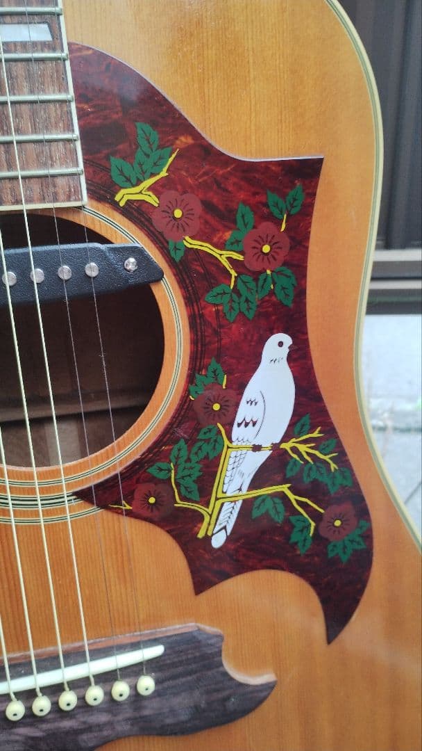 美品 激鳴り！ ジャパンビンテージ DOVE Wピックアップ付エレアコ