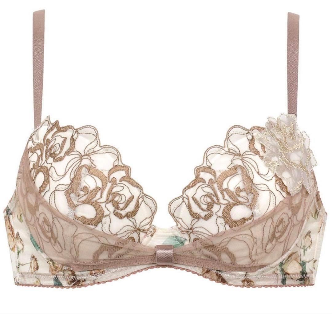 C70Mセット　ルジェ　リボンブラ　ブラウン