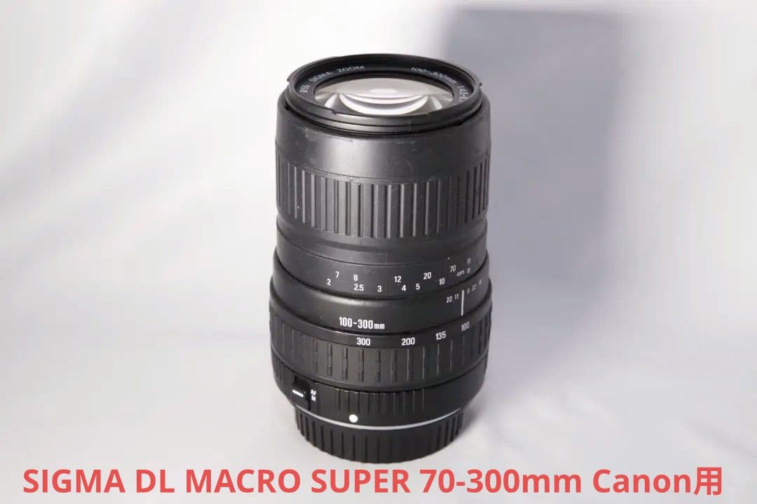 SIGMA DL MACRO SUPER 70-300mm Canon用