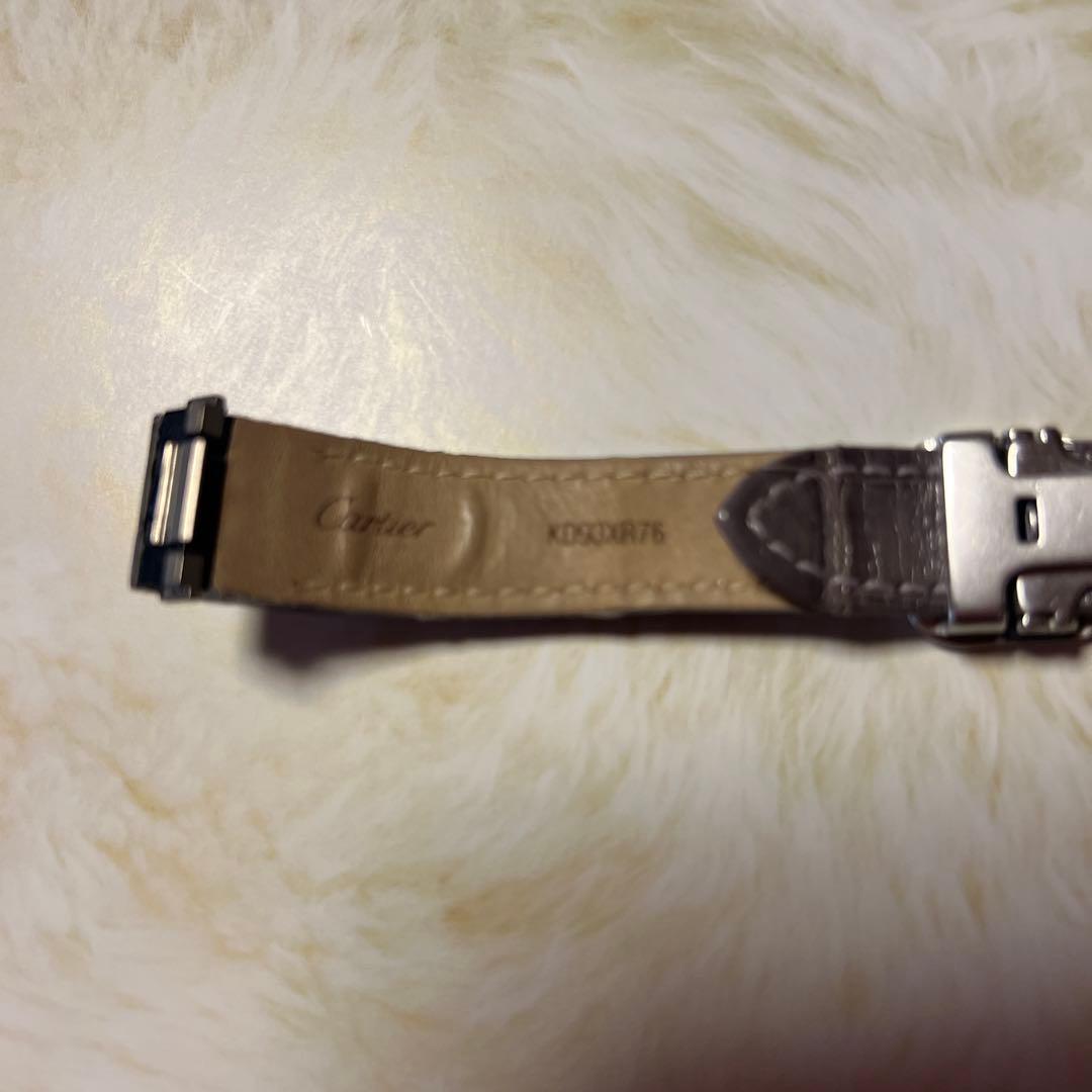サウルスカルティエ　ロードスターレディース　替えベルト