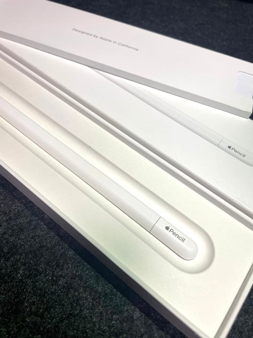 【ほぼ未使用】Apple Pencil (USB-C) 純正MUWA3ZA/A