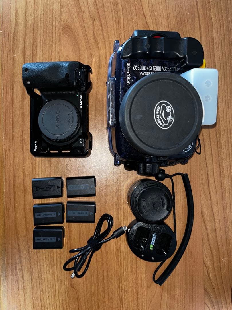 SONY α6400 + Sigma 19mm f2.8 + 水中ケージ