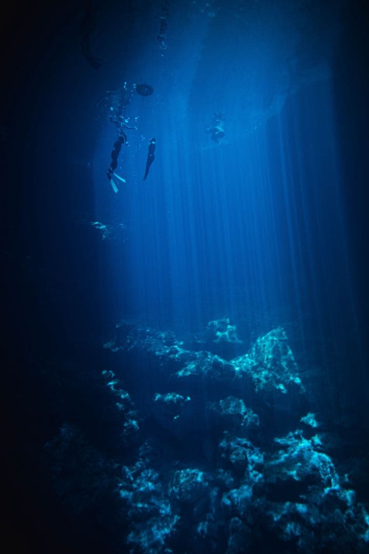 SONY α6400 + Sigma 19mm f2.8 + 水中ケージ