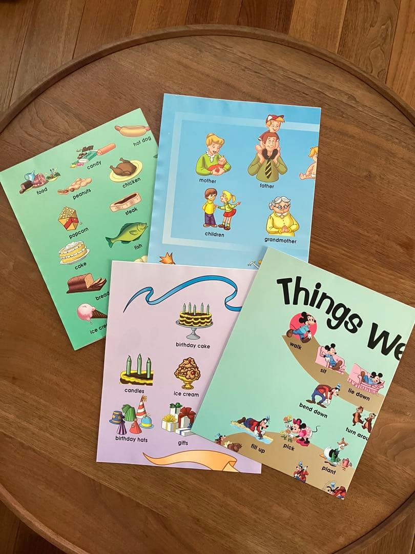 ディズニー英語システム シングアロング DVD CD 絵本 ガイド おまけ付