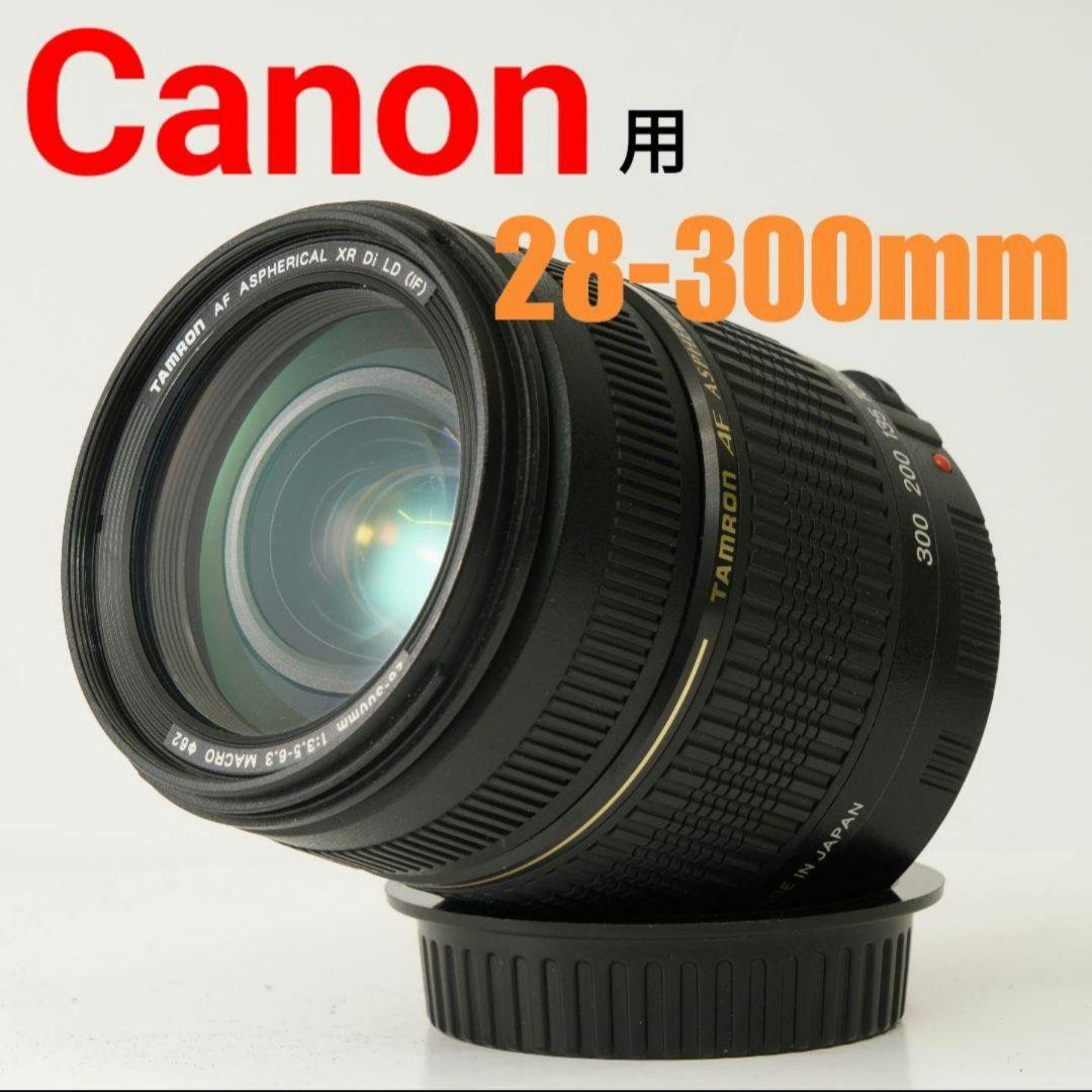 キヤノン用28-300mmズームレンズ Canon EOS Kiss 広角 望遠