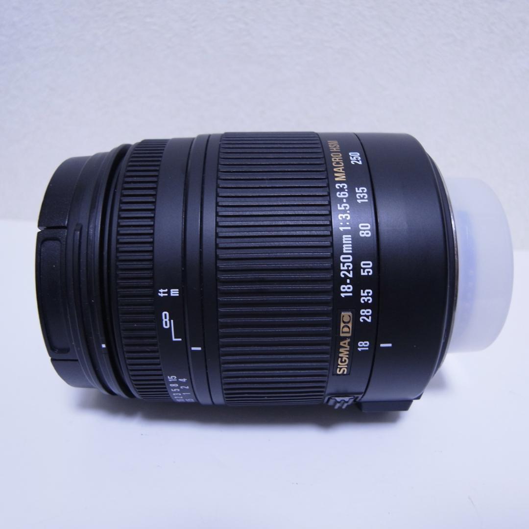 SIGMA 18-250mm DC MACRO OS HSM ニコン
