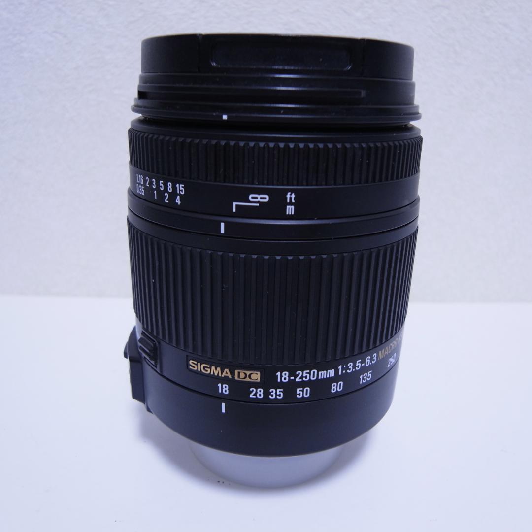 SIGMA 18-250mm DC MACRO OS HSM ニコン