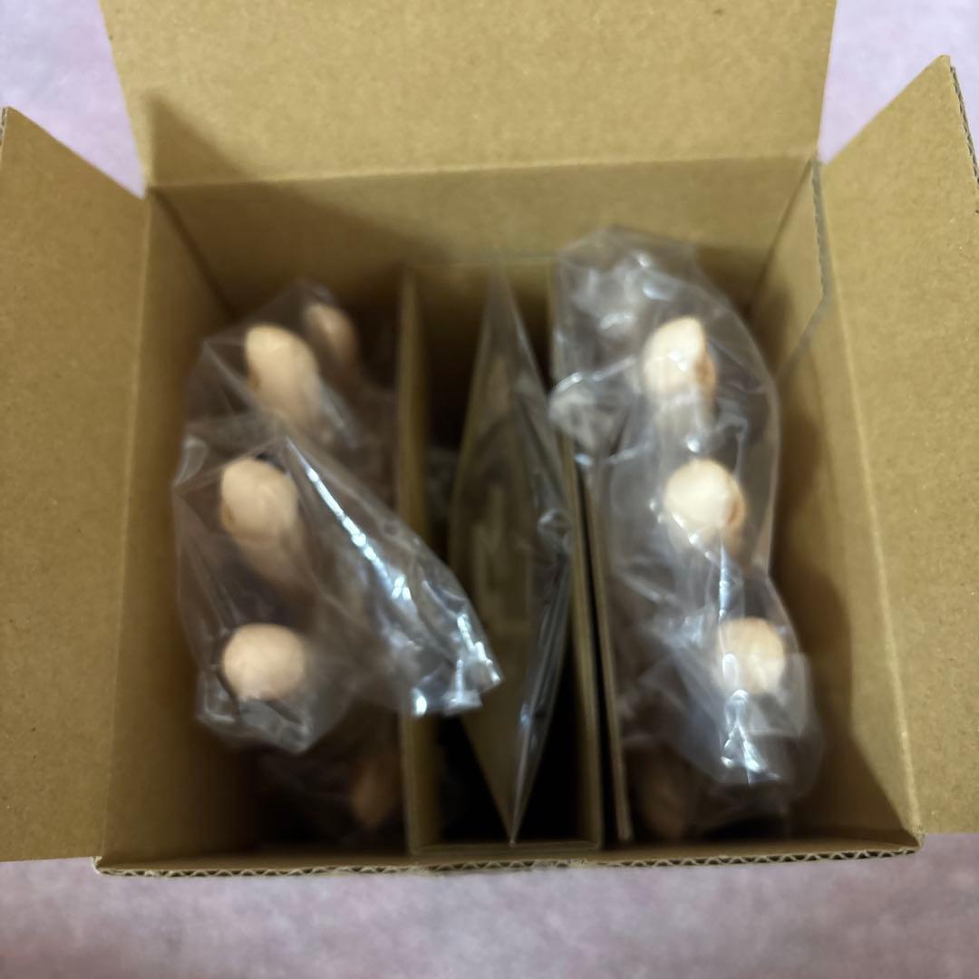 STモデルハンドセット ネイリスト 技能検定試験用 JNEC 認定モデルハンド