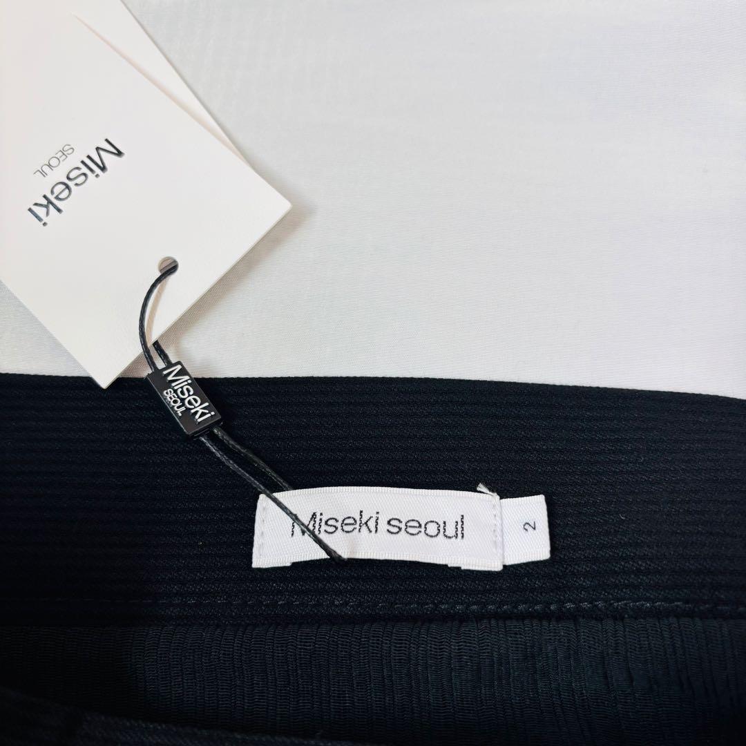 タグ付き 未使用 misekiseoul ロング レイヤード フレア スカート