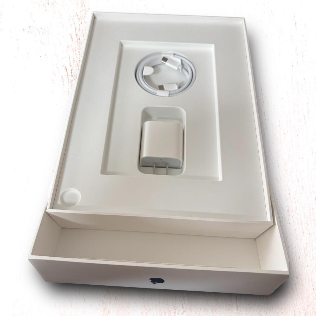 Apple iPad Air M3 128G ブルー