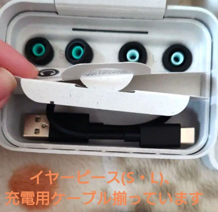 ソニー WF-1000XM4 ワイヤレスイヤホン ブラック