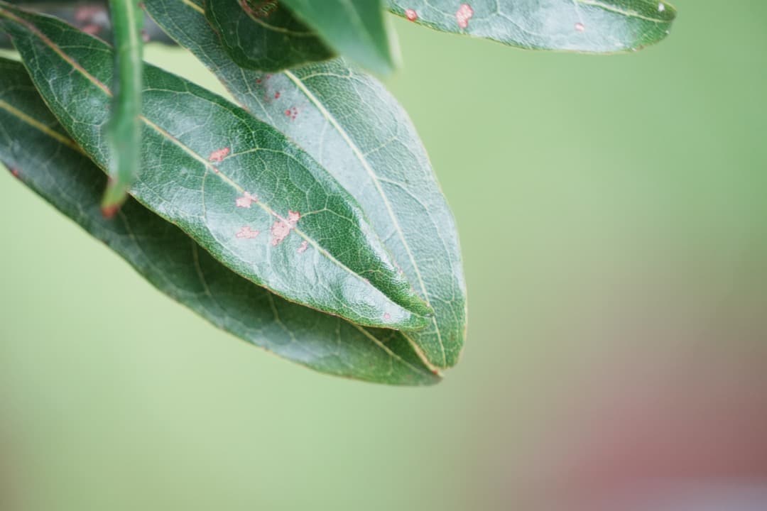 美品 Tamron 18-300mm VC VXD 高倍率ズーム ソニーE用