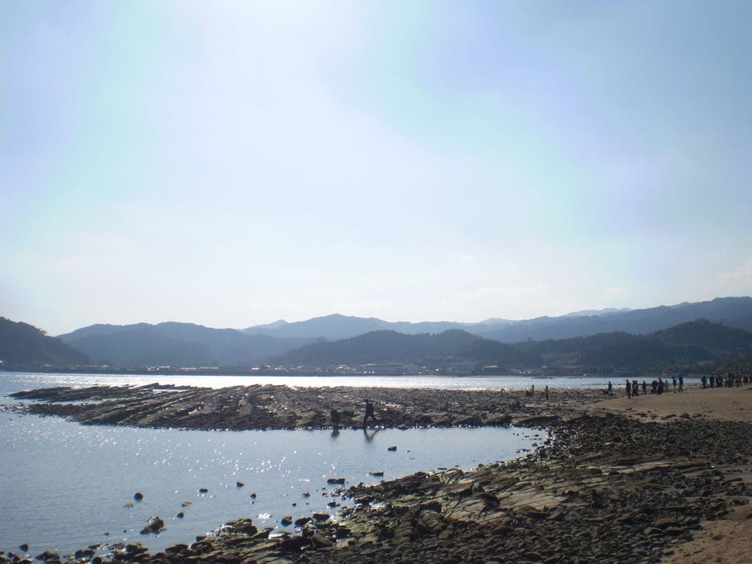 【動作確認済み】OLYMPUS FE-220 本体のみ