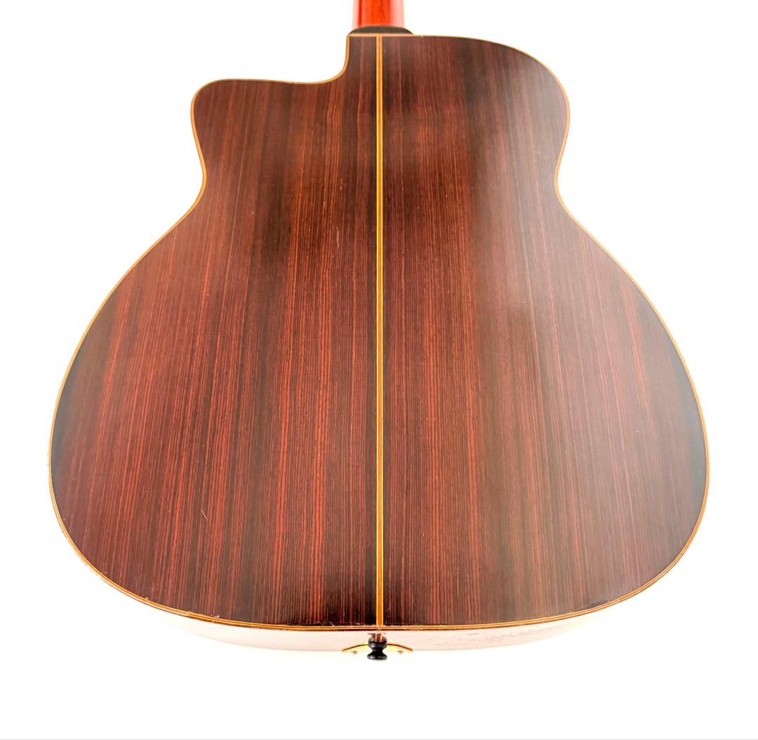 【希少】SAGA JAPAN BM500 Django Jazz Guitar