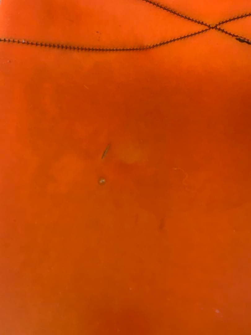 ア*ロ様 イームズシェルチェア