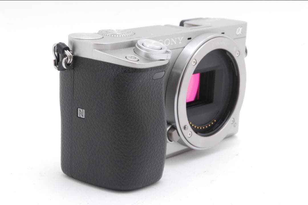 ソニー SONY α6000 ミラーレス一眼