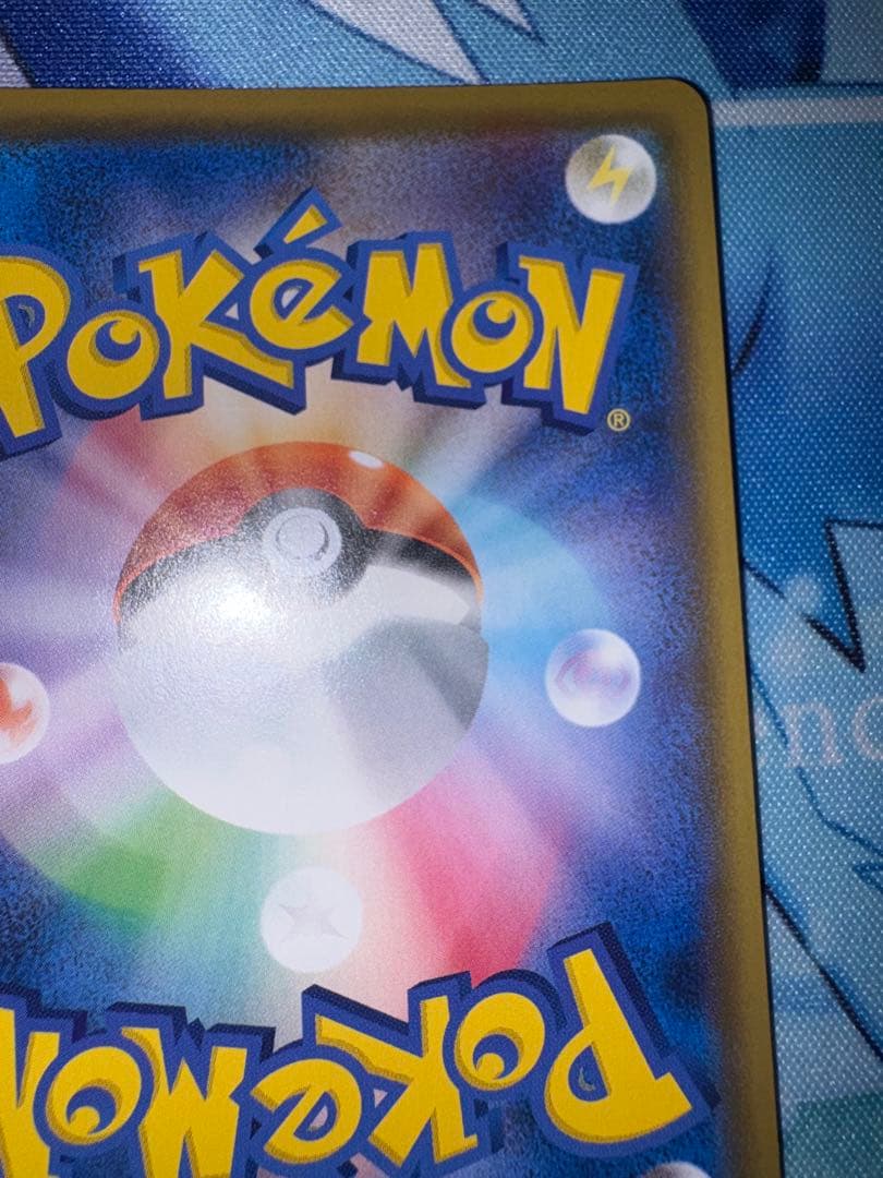 確認用（ご購入された場合愛犬かチベットスナギツネの写真を送ります）