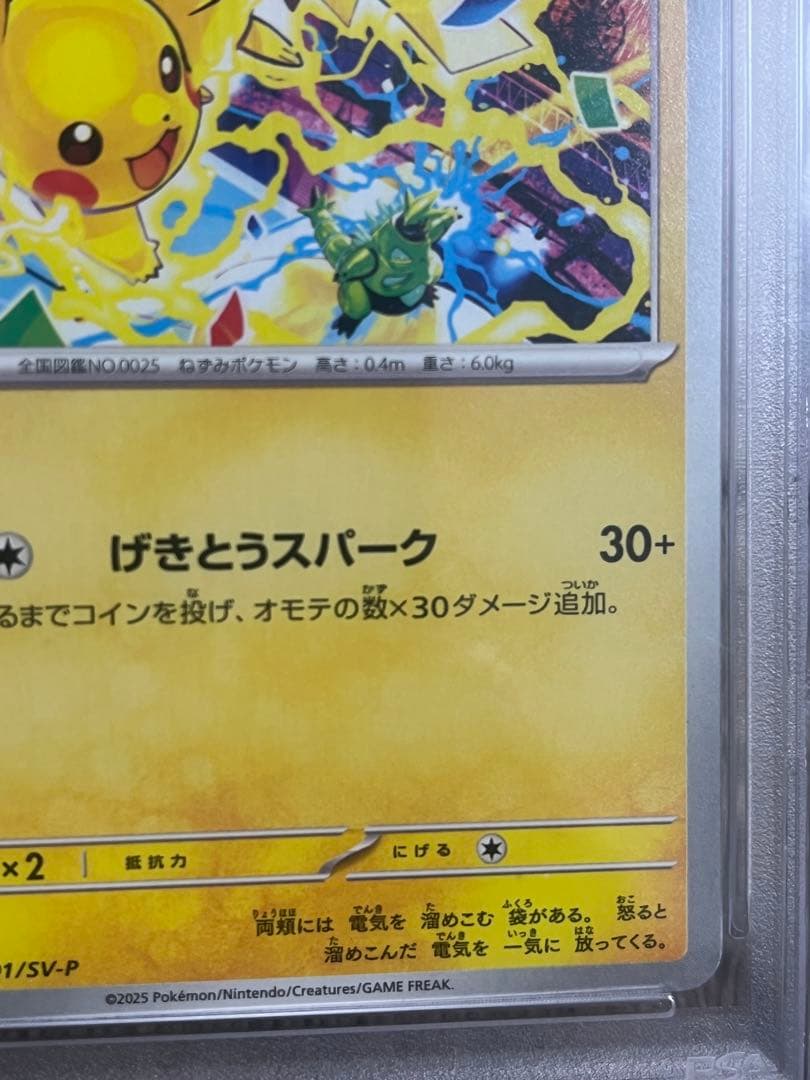 PSA10 2025 ピカチュウ GYM EVENT CAMPAIGN #291