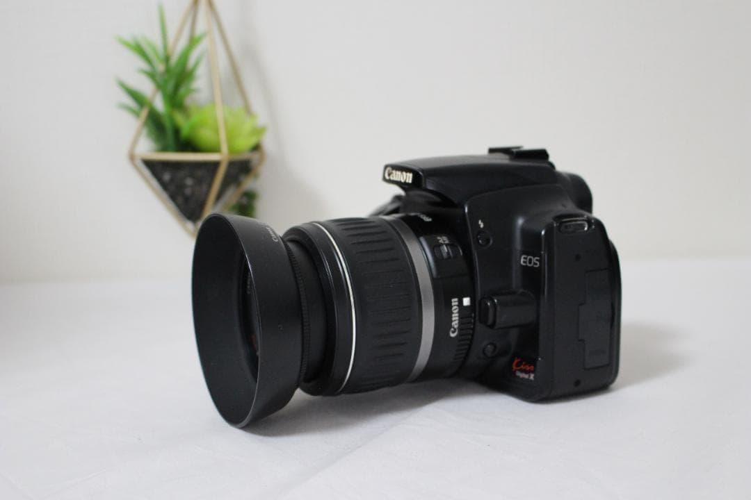 Canon Kiss digital X 標準ズームレンズセット 初心者セット