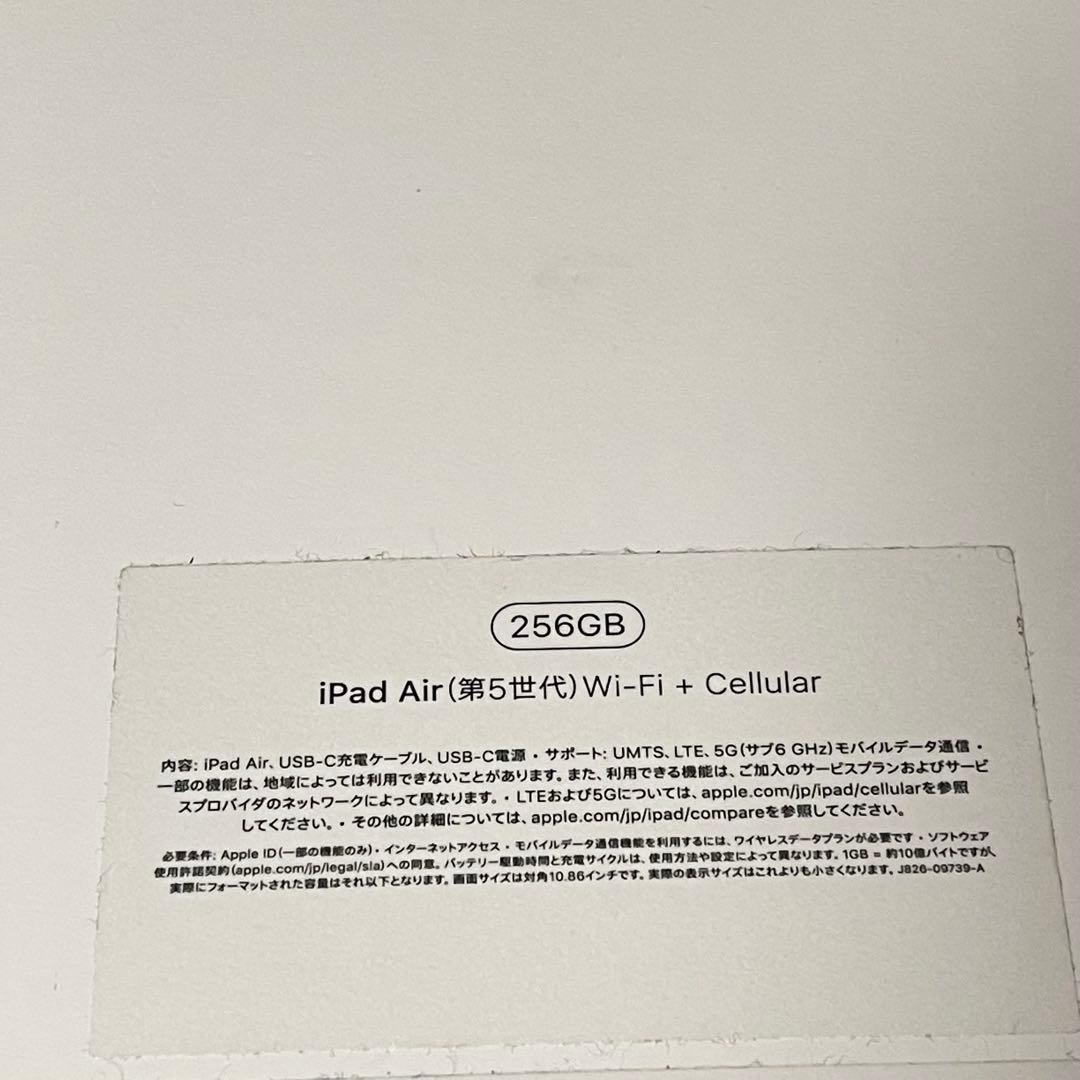 Apple iPad Air 第5世代 本体