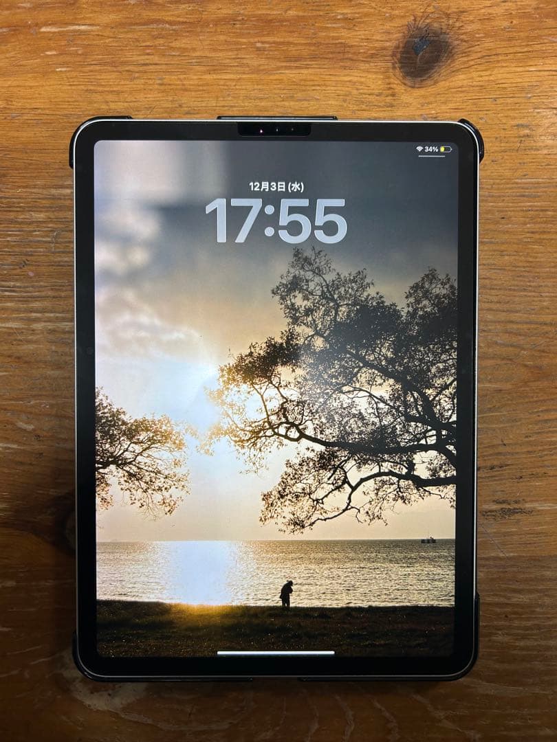 iPad pro 11インチ 第一世代 256GB