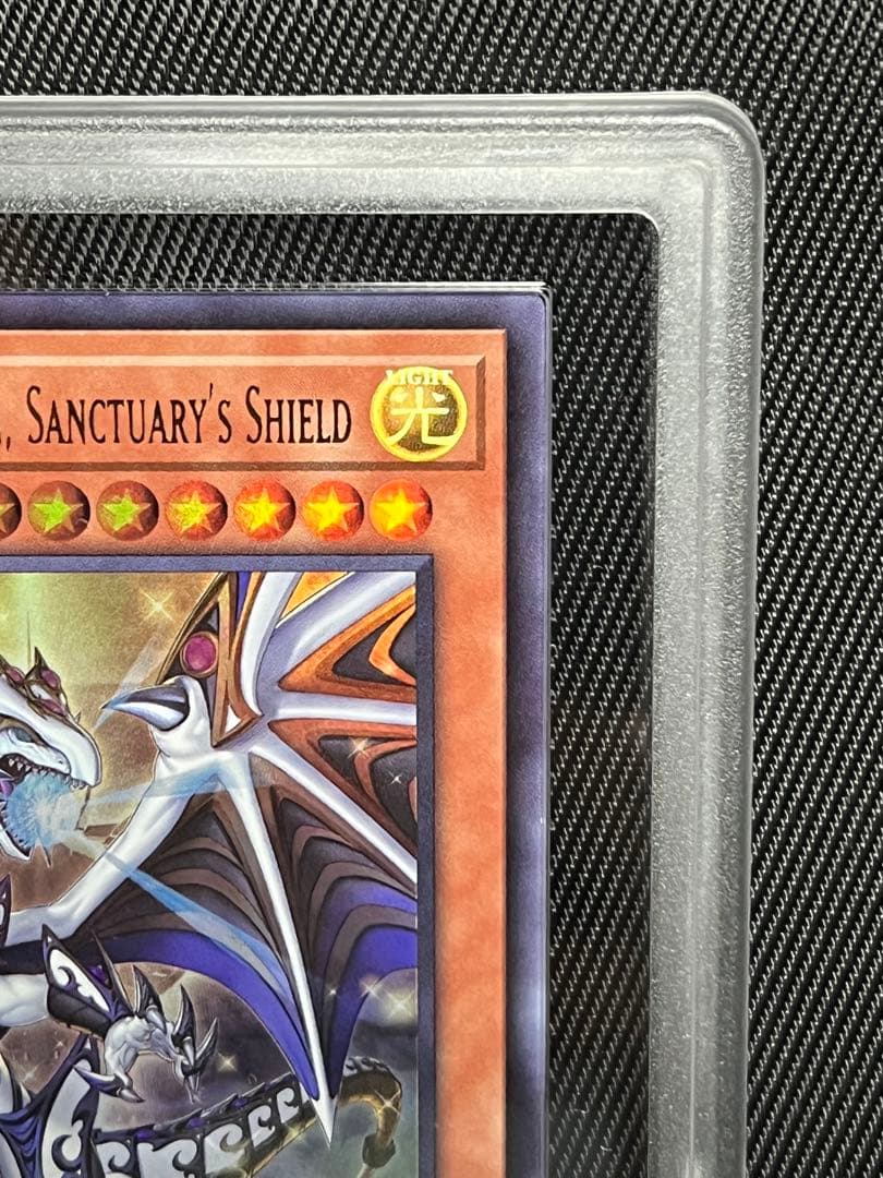 遊戯王　Dragon of Illumination 日本選手権　ARS9