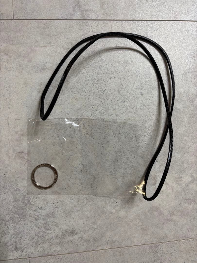 早い者勝ち！値下げ！WILDSWANS NORMA /LEGAREセット