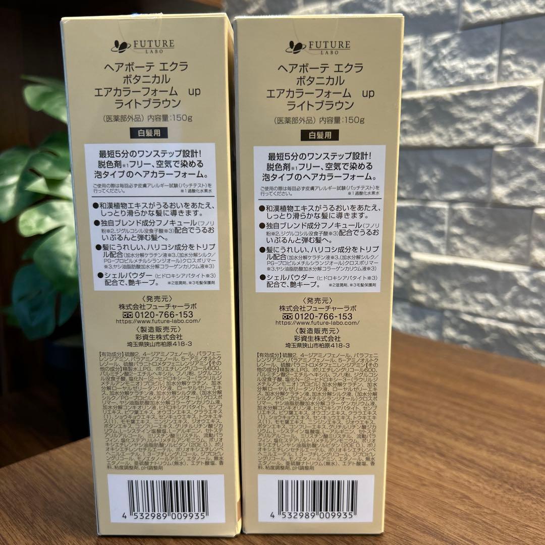 [新品]ヘアボーテエクラ ボタニカルエアカラーフォーム ライトブラウン2本セット