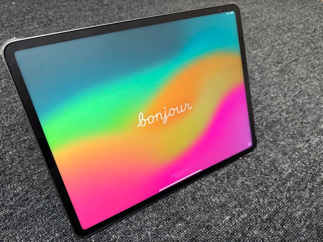 iPad Pro 12.9インチ 第5世代　256GB